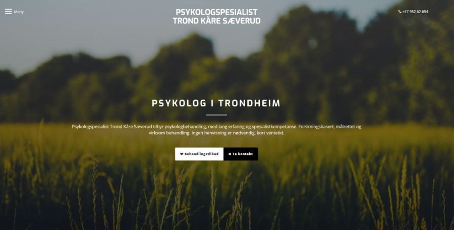 Psykolog i Trondheim - Trond Kåre Sæverud